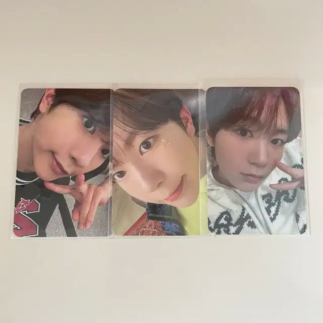 엔시티 위시 료 포카 3장 일괄 / 송버드 스테디 미공포 앨포