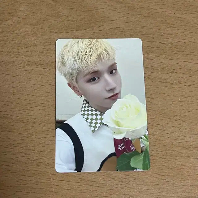 who 리우 포카      성호리우명재현태산이한운학