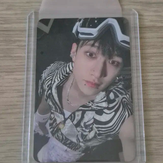 스키즈 포카 일괄판매합니다