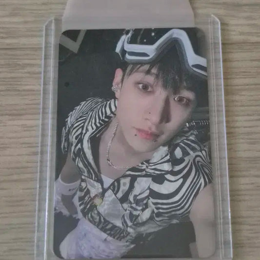 스키즈 포카 일괄판매합니다