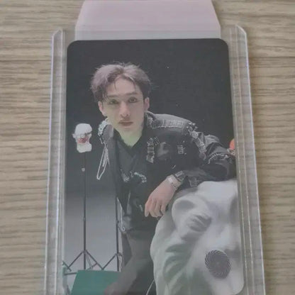 스키즈 포카 일괄판매합니다