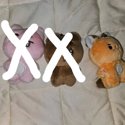 투바투 인형 양도합니다 뽀바투 말랑쭌 뽀송밤 쭌콩이