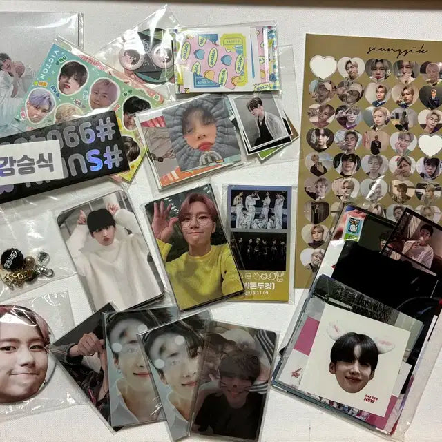 빅톤 비공굿 판매