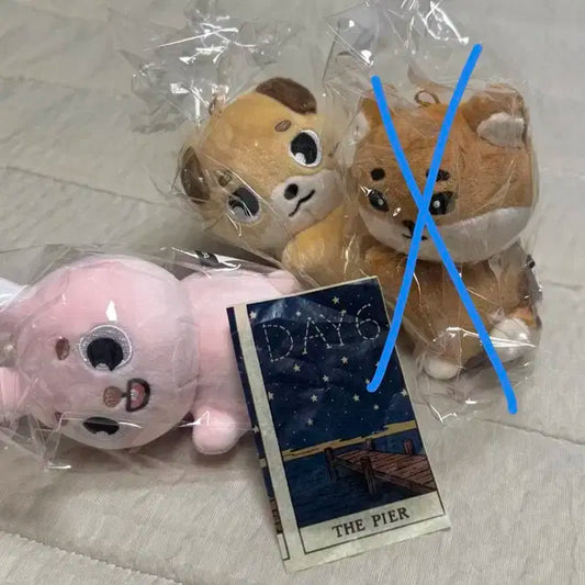 새상품 데이식스 데니멀즈 손난로+타로 컨페티