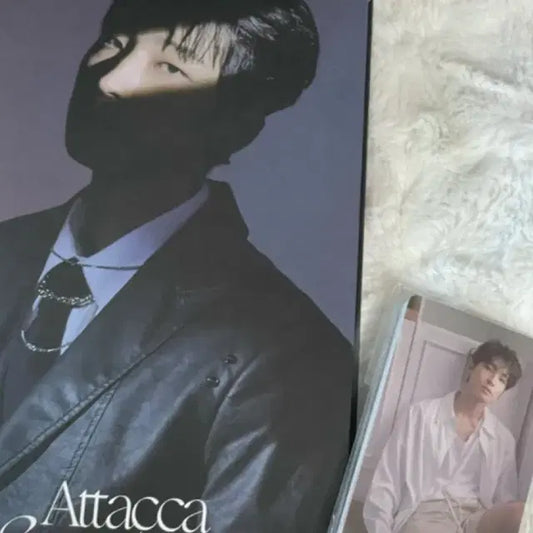 포카 포함) 세븐틴 아타카 캐럿반 원우 바인더