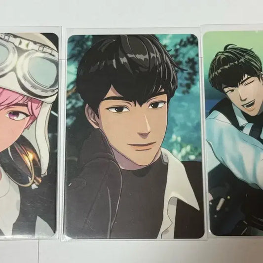 플레이브 웨이폴럽 포카