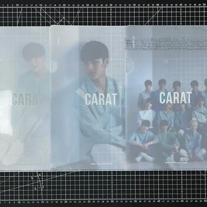 (조건부 나눔) 세븐틴 공식 팬클럽 캐럿 2기 L홀더 클리