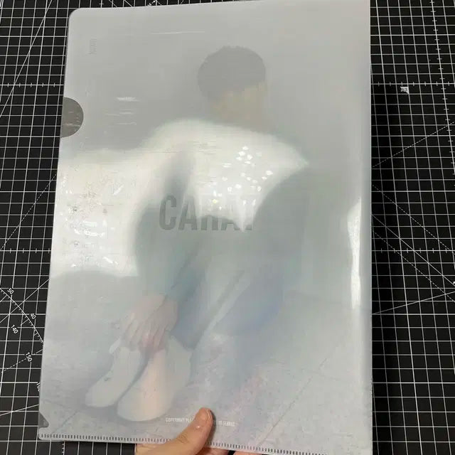 (조건부 나눔) 세븐틴 공식 팬클럽 캐럿 2기 L홀더 클리