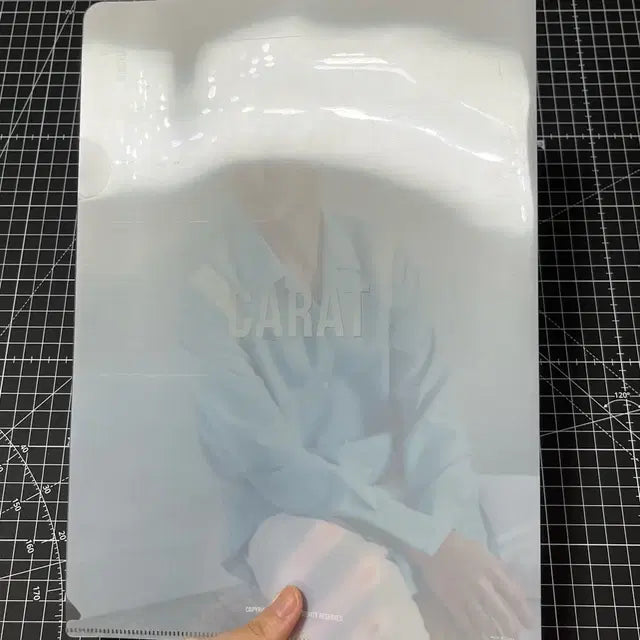 (조건부 나눔) 세븐틴 공식 팬클럽 캐럿 2기 L홀더 클리