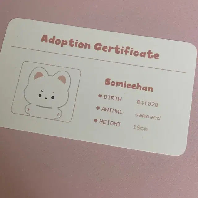 보넥도 솜넥도 솜이한 인형 양도