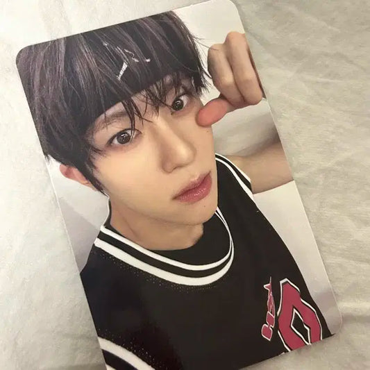 스테디 큐알 시온