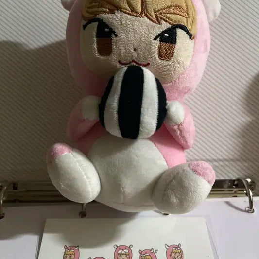 비공굿 샤이니 키 범찌 인형 엽서 포함