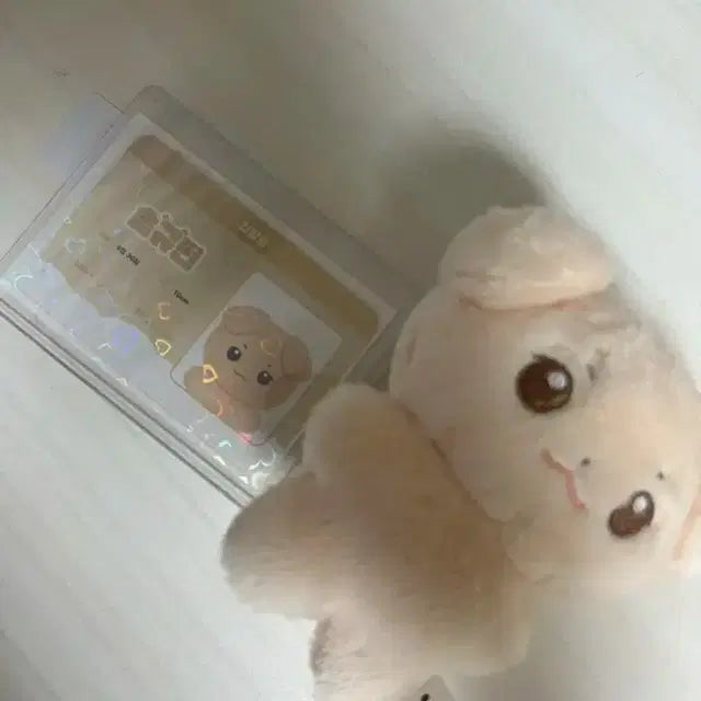 제베원 김규빈 솜규빈 인형 판매