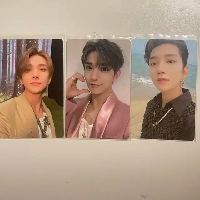 세븐틴 포카(전멤버)