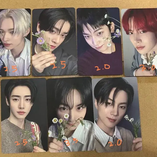 엔하이픈 유 요이 타워레코드 럭키드로우 포카 양도