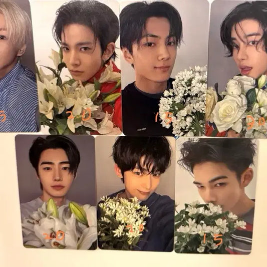 엔하이픈 일본 유 요이 위버스 재팬 포카 양도 합니다