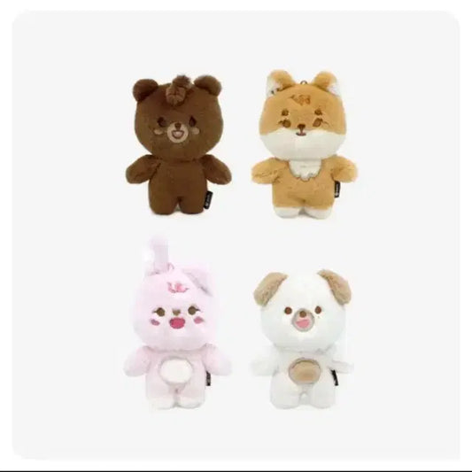 쁘띠멀즈 필