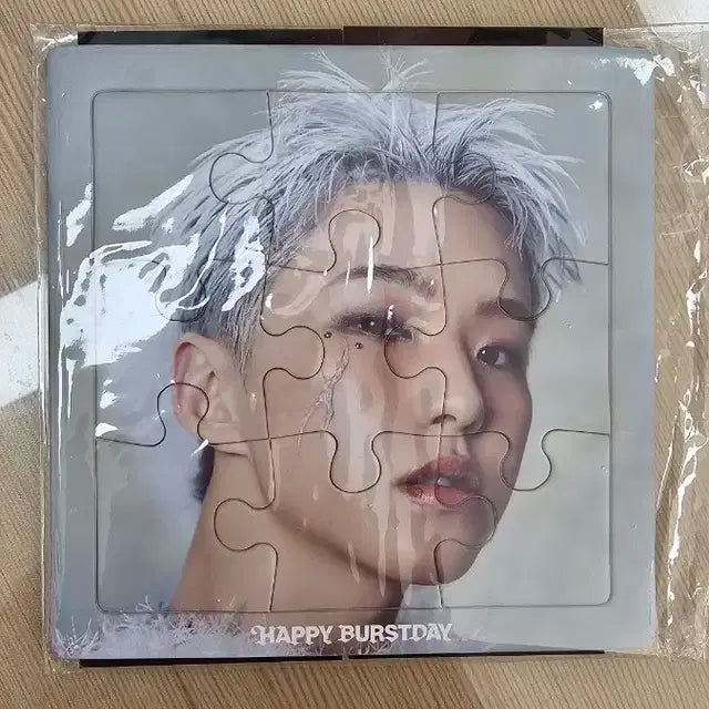 세븐틴 정규5집 해피버스트데이 퍼즐 호시 양도