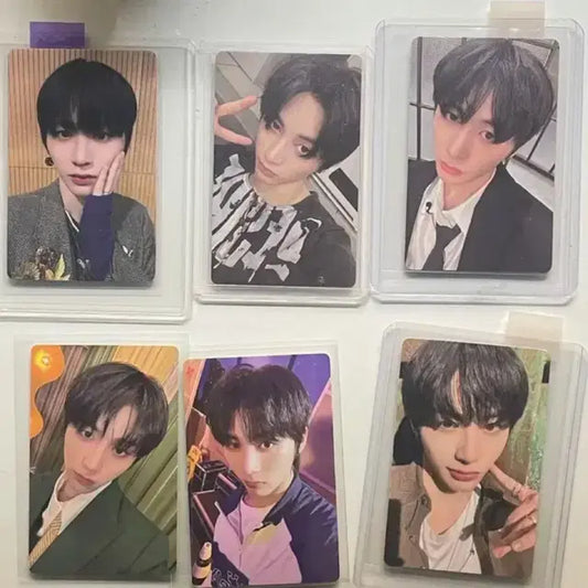 태냐코 10센치 태산 포카 보넥도 보이넥스트도어 양도