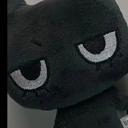 태냐코 10센치 태산 포카 보넥도 보이넥스트도어 양도