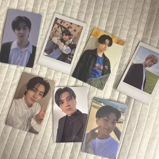 엔하이픈 포카 일괄