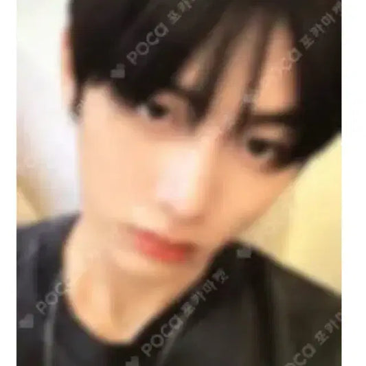 보넥도태산포카양도합니다