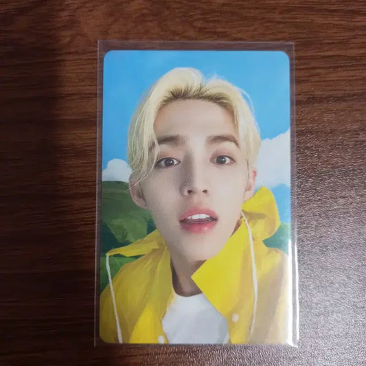 세븐틴 에스쿱스 우비 포카 급처