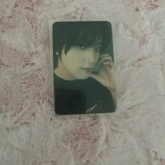 엔시티 해찬 포토카드