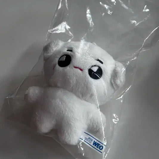 엔시티 태용 인형 툥야 양도