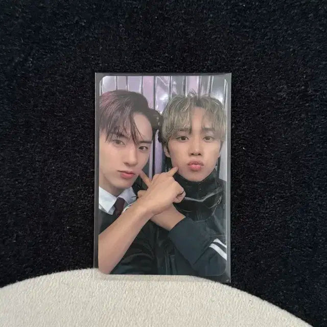 더보이즈 선우 포카 앨범 md 콘서트 굿즈 공굿 양도 에릭