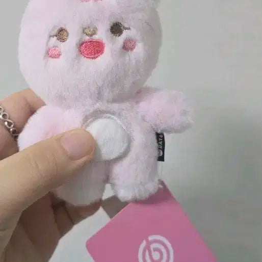 쁘멀 10Cm 필