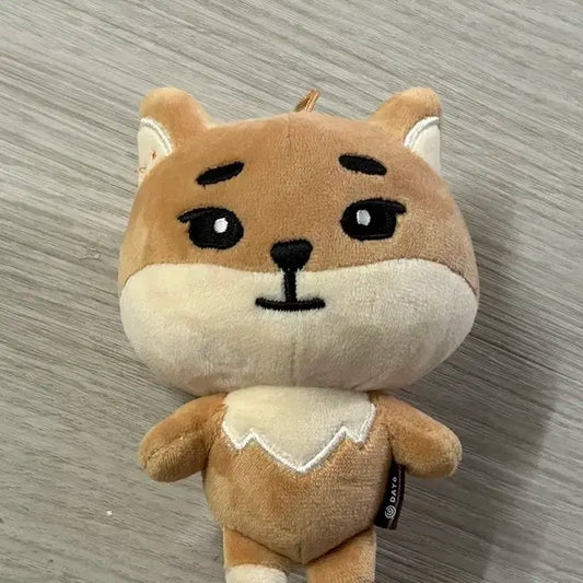 [가격내림, 빠른배송] 데이식스 데니멀즈 24 케