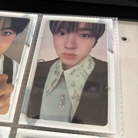 엔시티위시 사쿠야 포카 송버드 kms