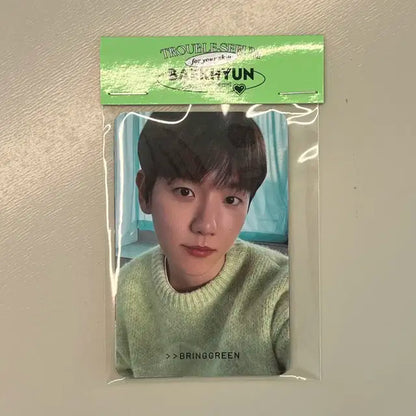 브링그린 백현 엑소 백현 포카