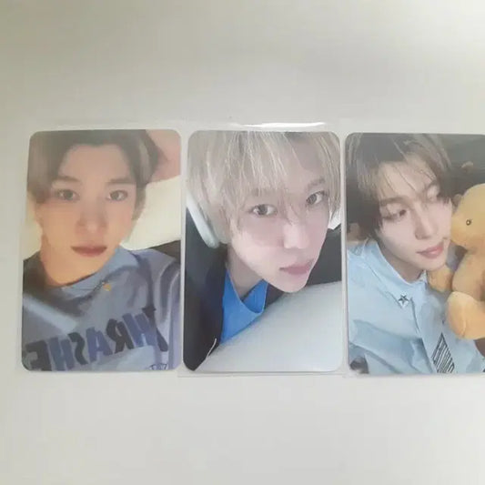 엔위시 시온포카 양도합니다! 엔시티 위시