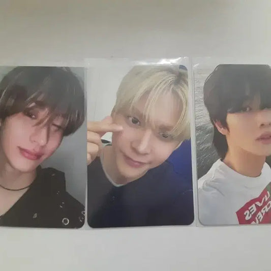 라이즈 포토카드 양도합니다 성찬 엔톤 은석