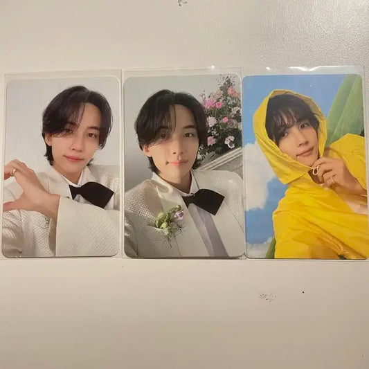 세븐틴 정한포카/세븐틴 조슈아 포카