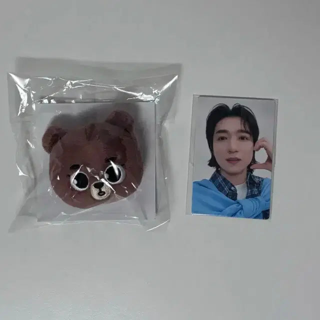 데이식스 데니멀즈 방 소프트뱃지 포카