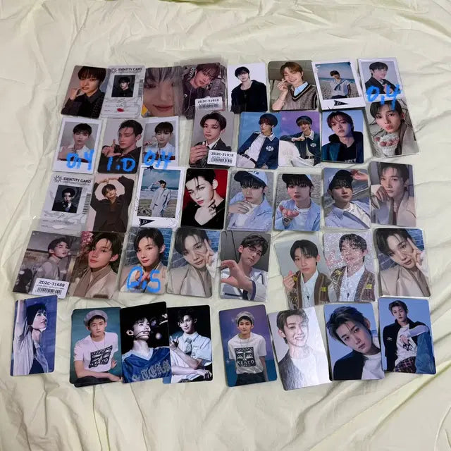 앤팀 죠 의주 포카 양도