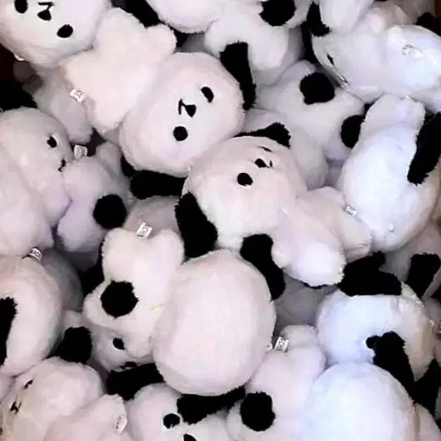 엔시티127 정우 인형 정뽀꼬 양도 / 비공굿 굿즈 포카