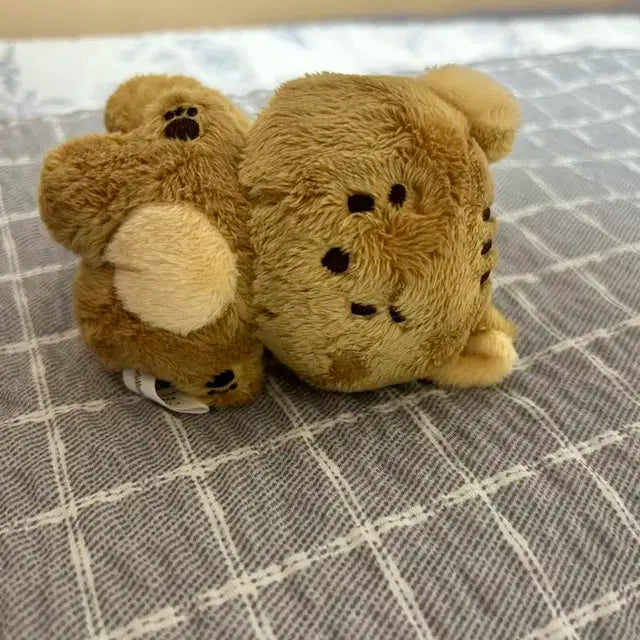 루시 최상엽 엽람쥐 팝니다(외출,목욕X) +투명포카
