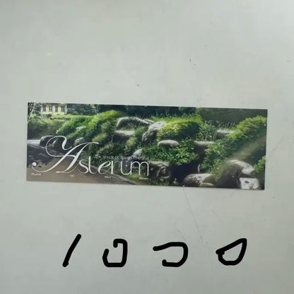 플레이브 포토카드 여러개 팝니다