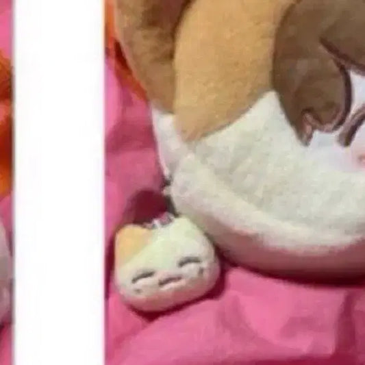 미말잰 엔시티 재현 인형 양도