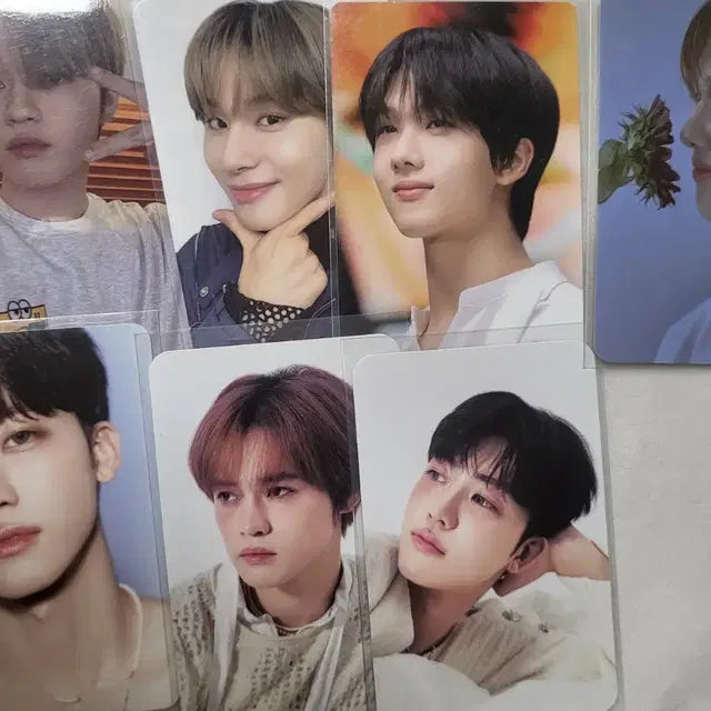 (일괄)엔시티 포카