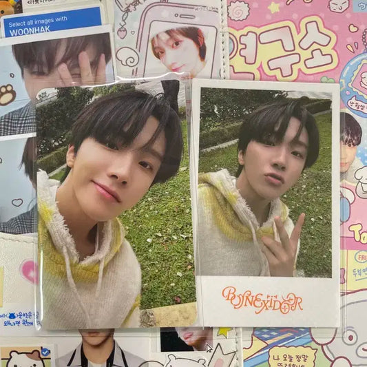 보넥도 콜북 포토북 버전2 운학 포카 폴라 풀셋 양도 특전 분철