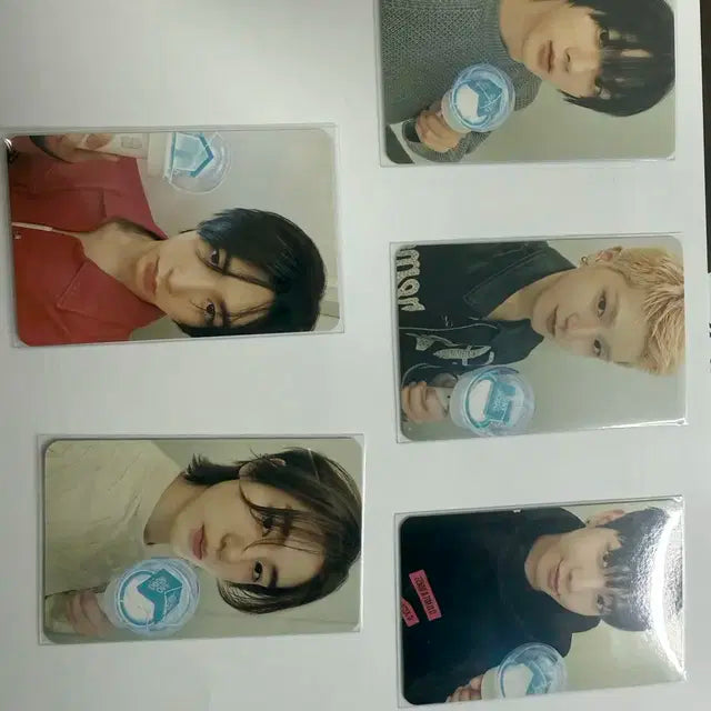 보넥도 포카 장당 1000원에 판매합니다