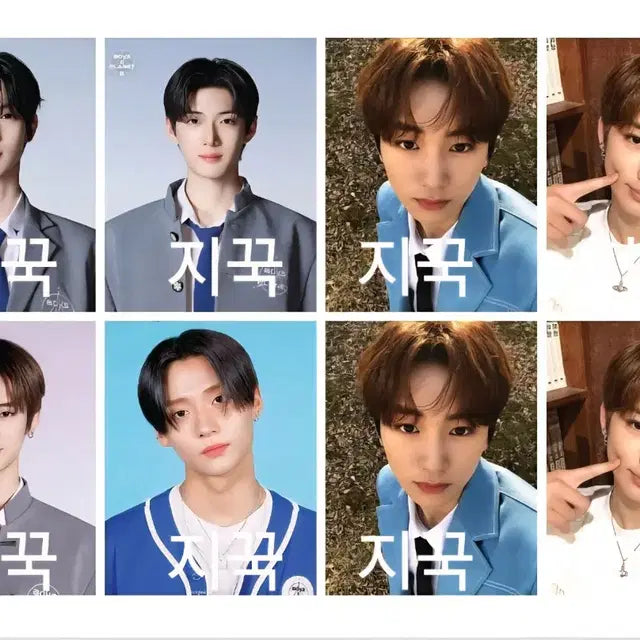 할인!) 보이즈플래닛2 증사 알파드라이브원 상원우진유강민립우리오상현안신