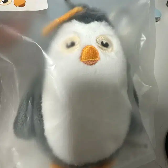 도경수 팝업 엠디 찌랭이 양도합니다