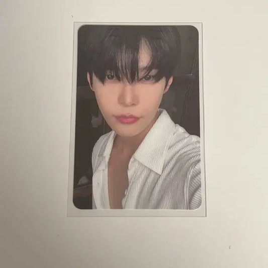 엔시티 127 도재정 도영 퍼퓸 디지팩 버전 포카 양도