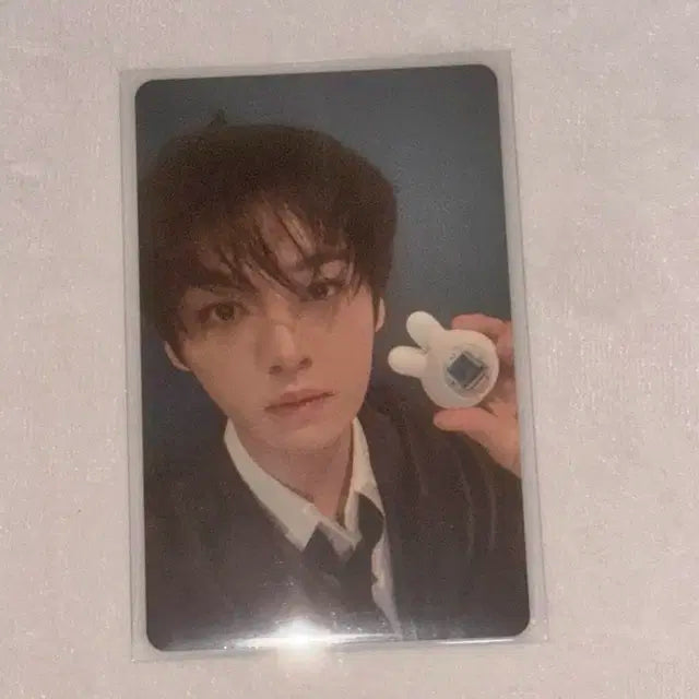 스키즈 다마고치 리노 포토카드